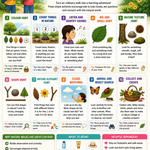 10 Easy Nature Walk Activities for Kids